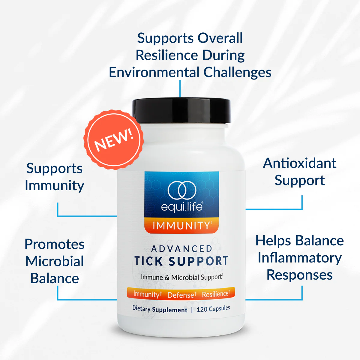 Advanced Tick Support - Image 2