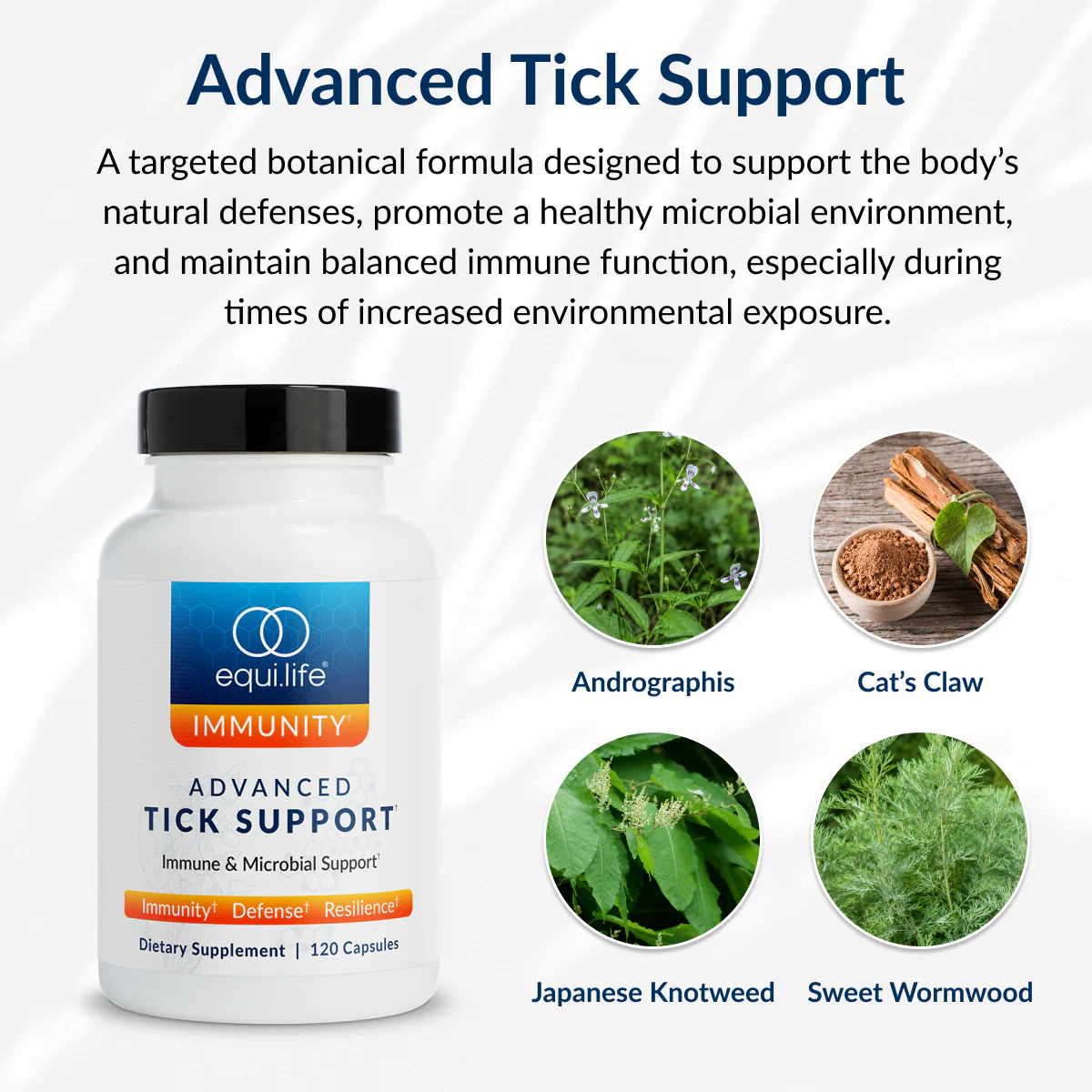 Advanced Tick Support - Image 3