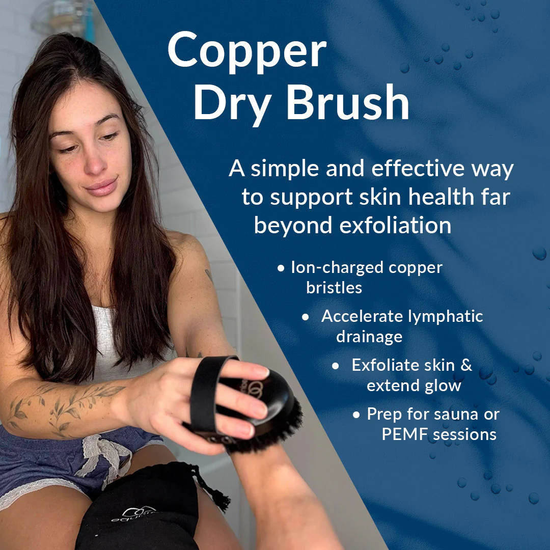 Copper Dry Brush - Image 3