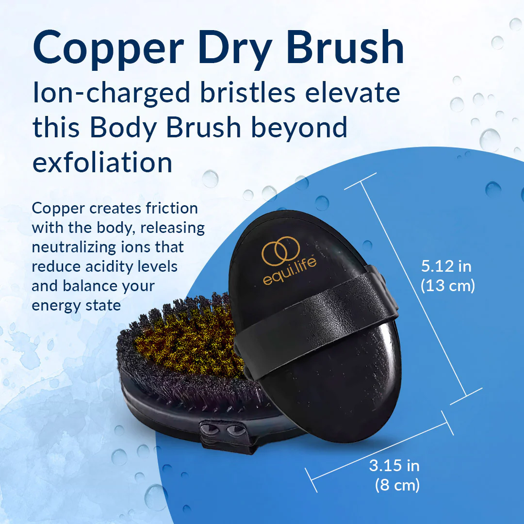 Copper Dry Brush - Image 5