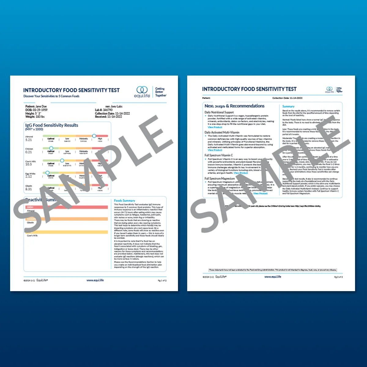 Introductory Food Sensitivity IgG Test - Image 4