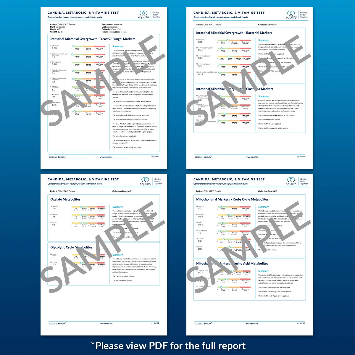 Candida, Metabolic & Vitamins Test - Image 4