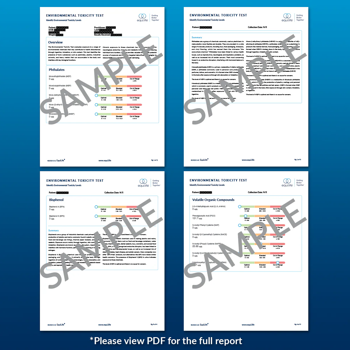 Environmental Toxicity Test - Image 2